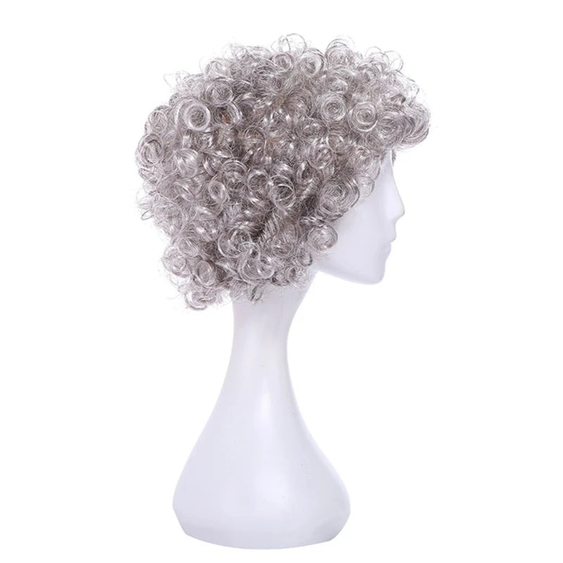 Kids Old Lady Wigs Short Gray Wigs Natural Lookings Halloween Cosplays Party Wigs Granny Costume Grandma Wigs for Girls
