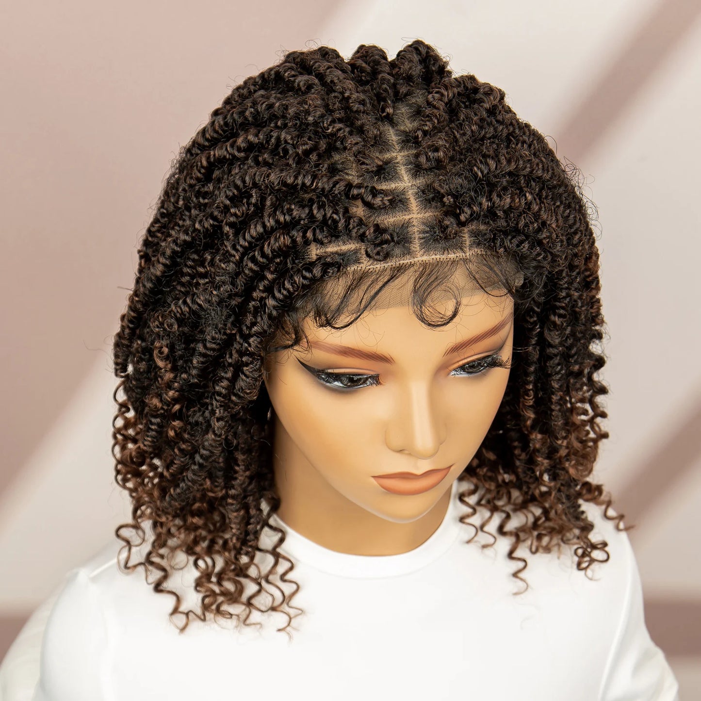 Dreadlocks Braided Wigs Lace Front Braided Wigs Short Box Braided Wigs for Women with Baby Hair Ombre Lace Braids Wigs