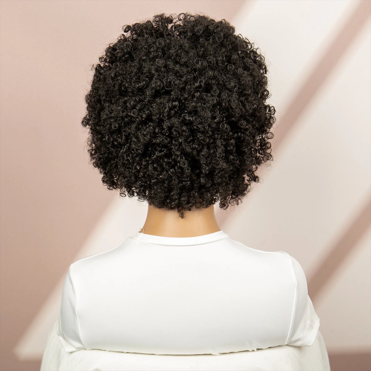 Afro Curly Short Braided Wigs for Black Women